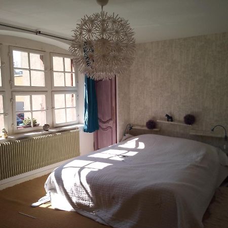 Ferienwohnung Le Baudinot Sélestat Exterior foto