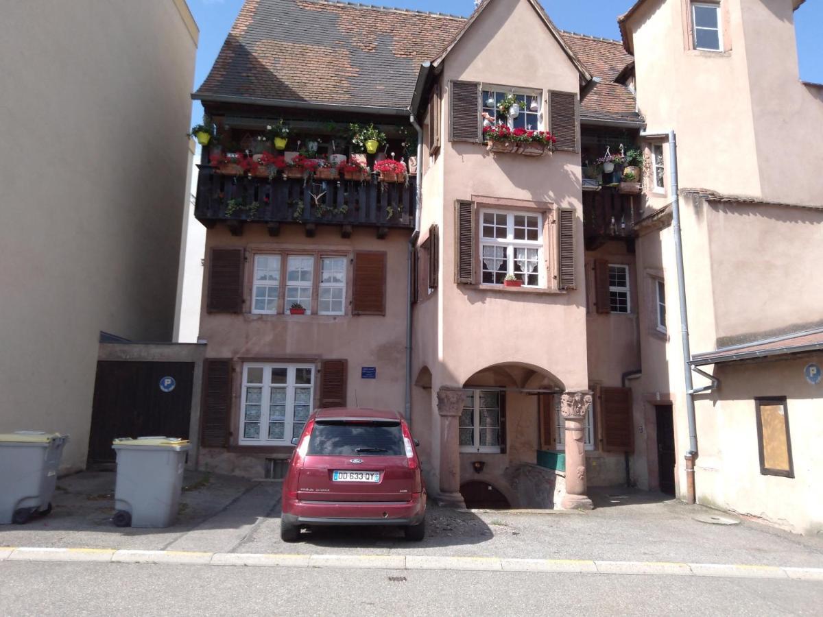 Ferienwohnung Le Baudinot Sélestat Exterior foto